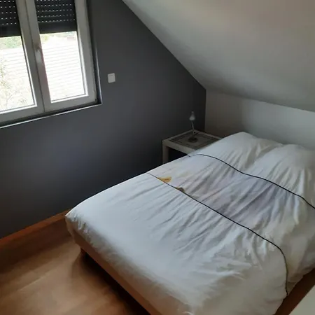 Pansiyon Hansi - Adults Only Lautenbachzell