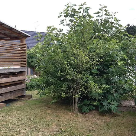 Hansi - Adults Only Pansiyon Lautenbachzell