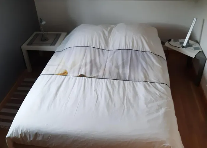 Homestay Hansi - Adults Only