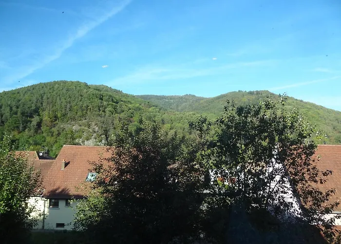 Hansi - Adults Only Homestay Lautenbachzell